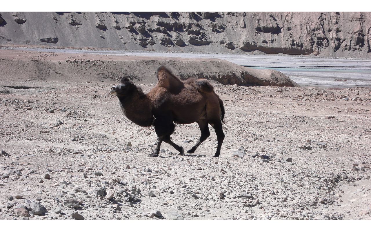 [原创]穿越西藏自驾游路途报导中--已更新翻越新疆界山大坂照片!~