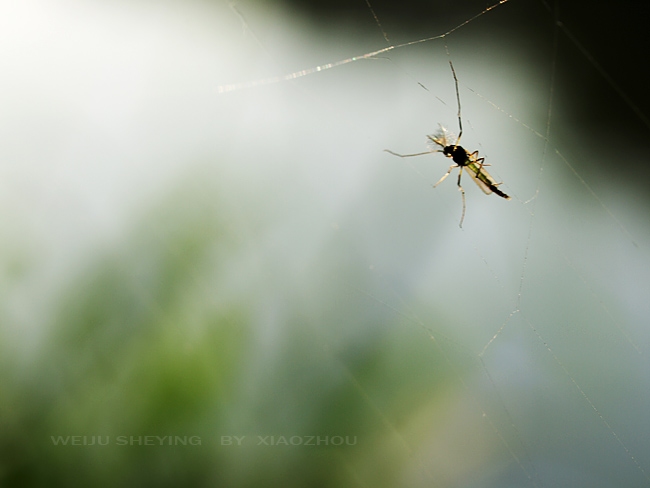 [原创]记录瞬间；记录生活。[不间断更新中~]
