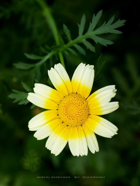 [原创]记录瞬间；记录生活。[不间断更新中~]