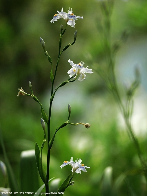 [原创]记录瞬间；记录生活。[不间断更新中~]
