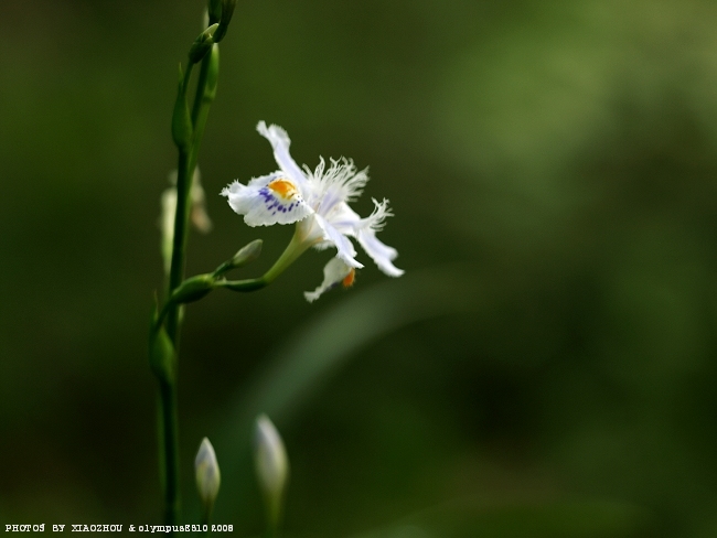 [原创]记录瞬间；记录生活。[不间断更新中~]