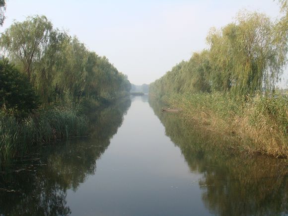 鲁宾逊探险——开沙岛之游