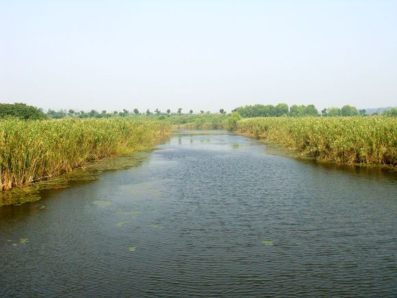 鲁宾逊探险——开沙岛之游