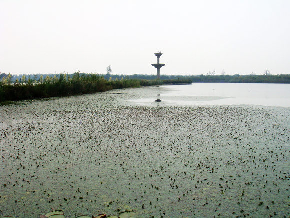 鲁宾逊探险——开沙岛之游