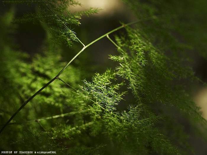 [原创]记录瞬间；记录生活。[不间断更新中~]