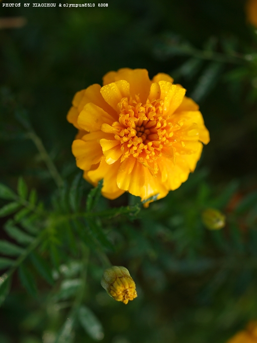 [原创]记录瞬间；记录生活。[不间断更新中~]