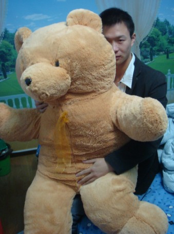 出售此熊！！100大洋！