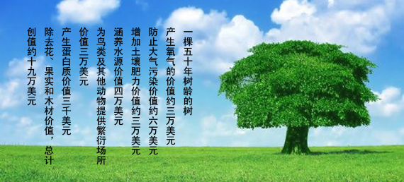 人人一小步，地球一大步（新加图片）