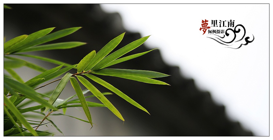 梦里水乡---长焦逛甪直