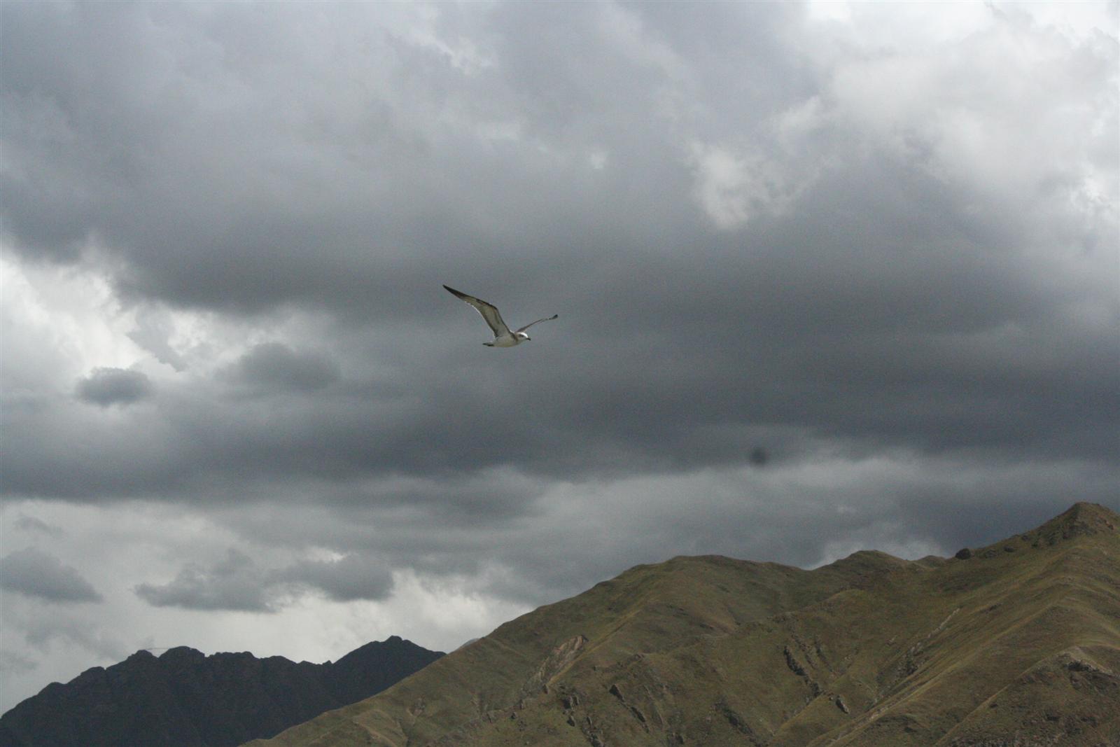 [原创]穿越西藏自驾游路途报导中--已更新翻越新疆界山大坂照片!~