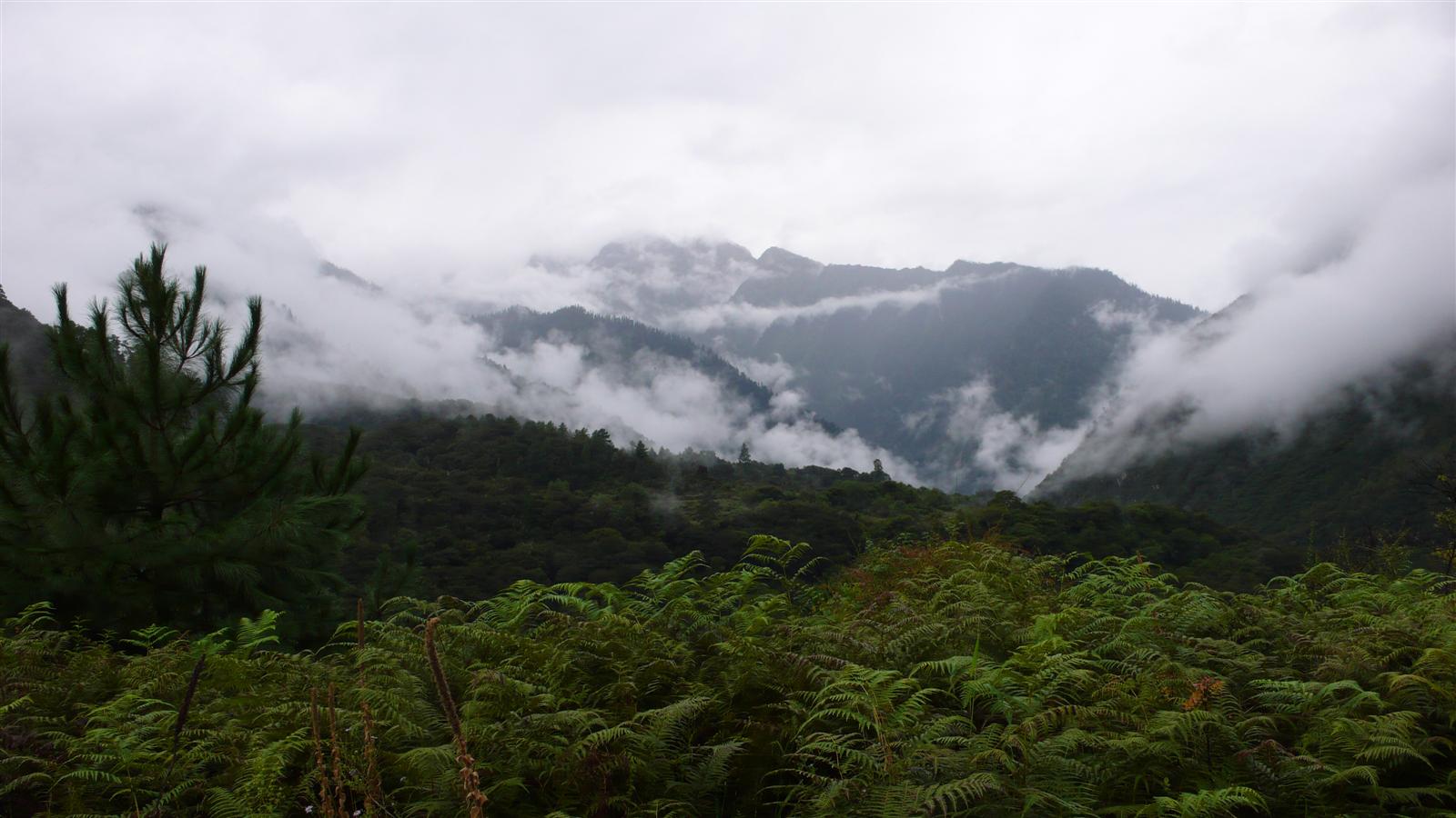 [原创]穿越西藏自驾游路途报导中--已更新翻越新疆界山大坂照片!~