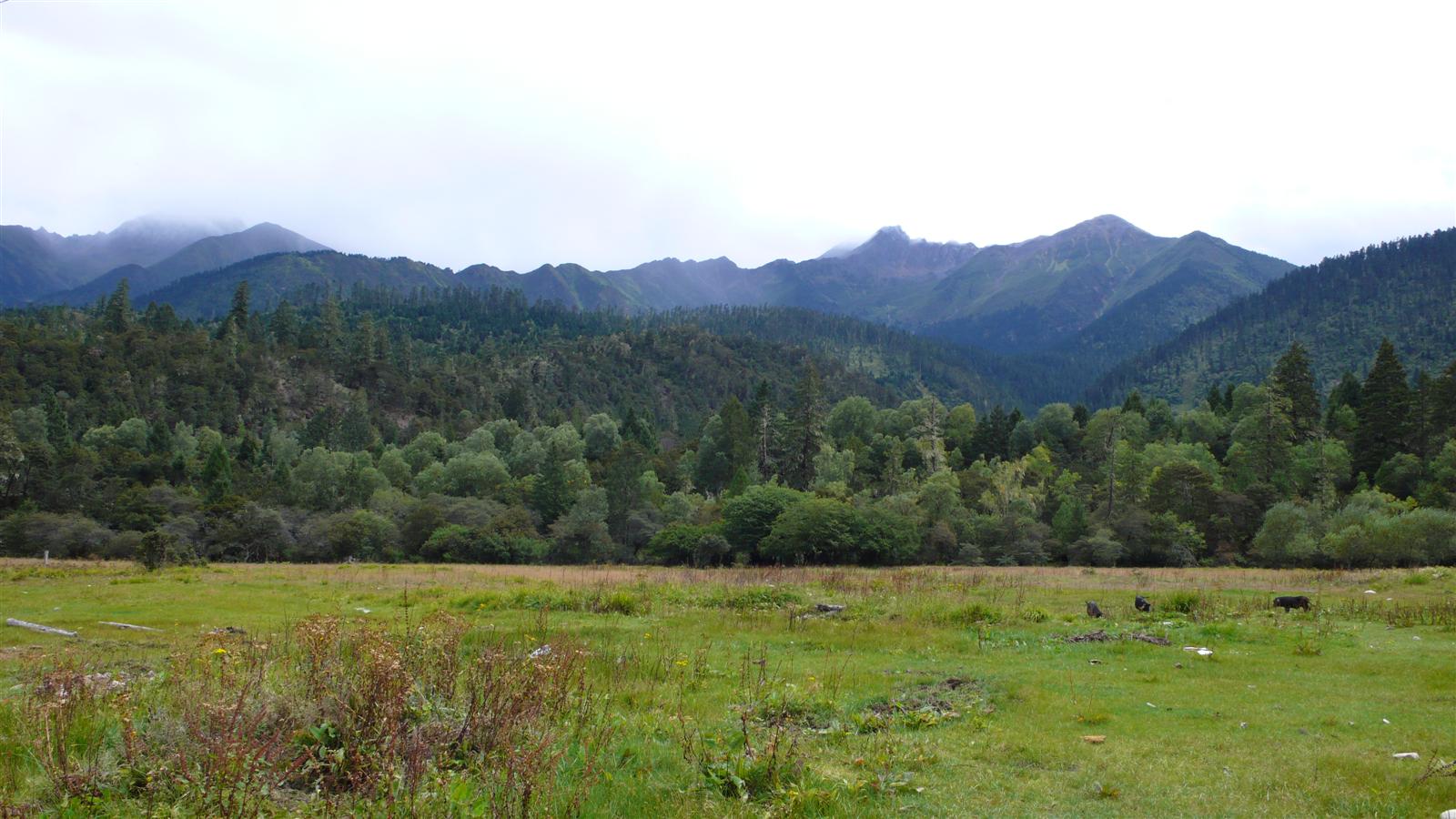 [原创]穿越西藏自驾游路途报导中--已更新翻越新疆界山大坂照片!~