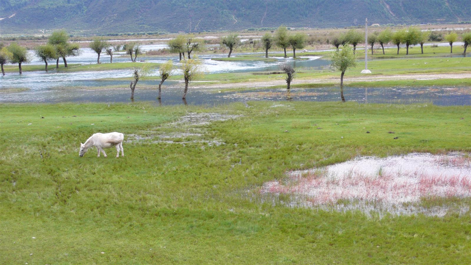 [原创]穿越西藏自驾游路途报导中--已更新翻越新疆界山大坂照片!~