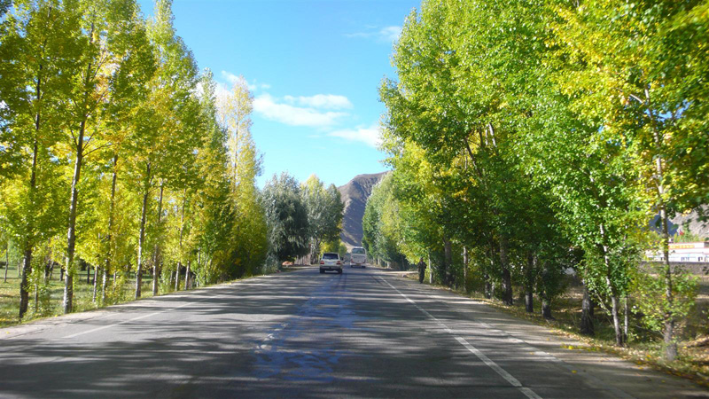 [原创]穿越西藏自驾游路途报导中--已更新翻越新疆界山大坂照片!~