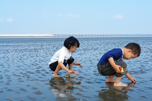[原创]黄海掠影