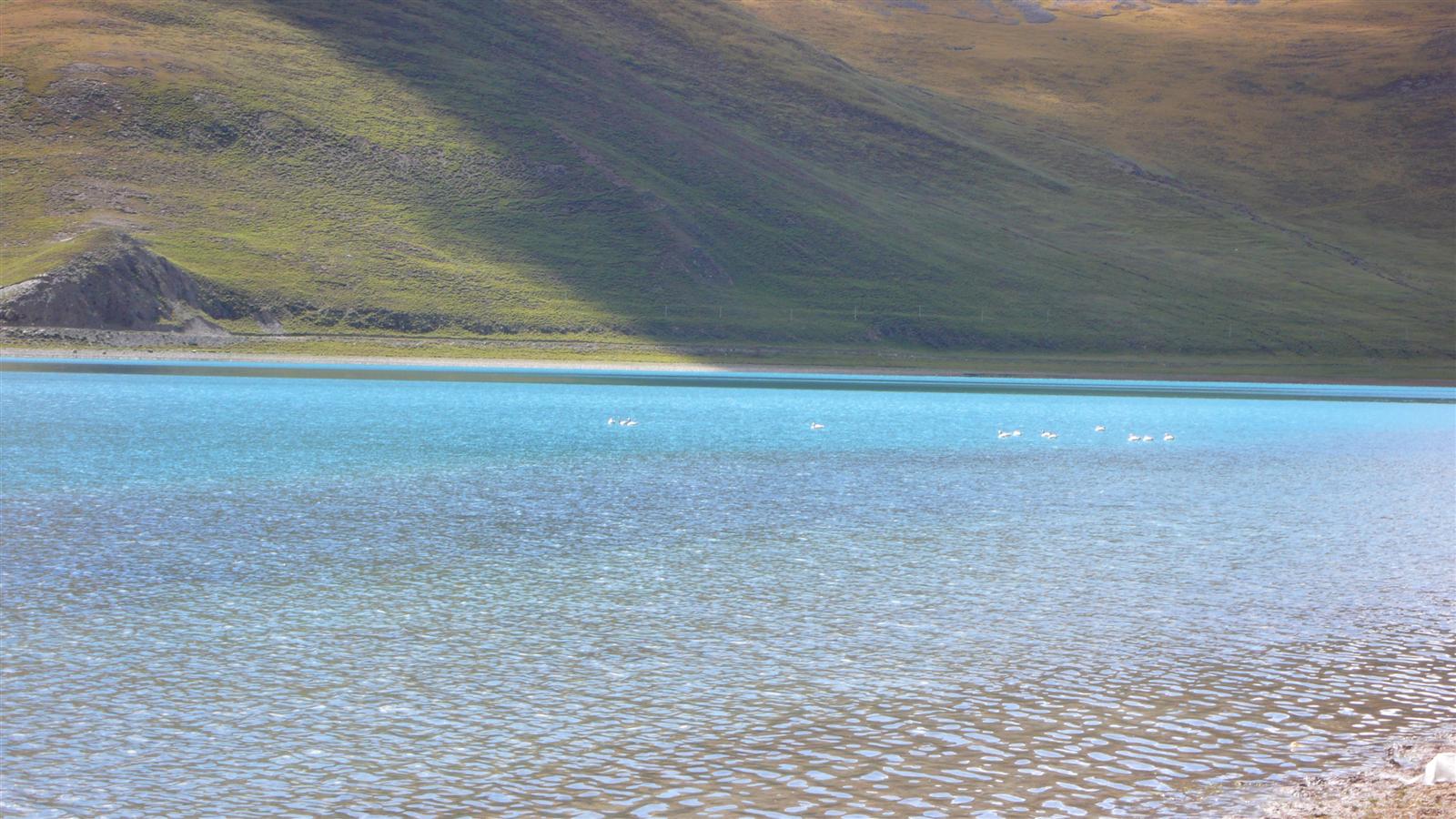 [原创]穿越西藏自驾游路途报导中--已更新翻越新疆界山大坂照片!~