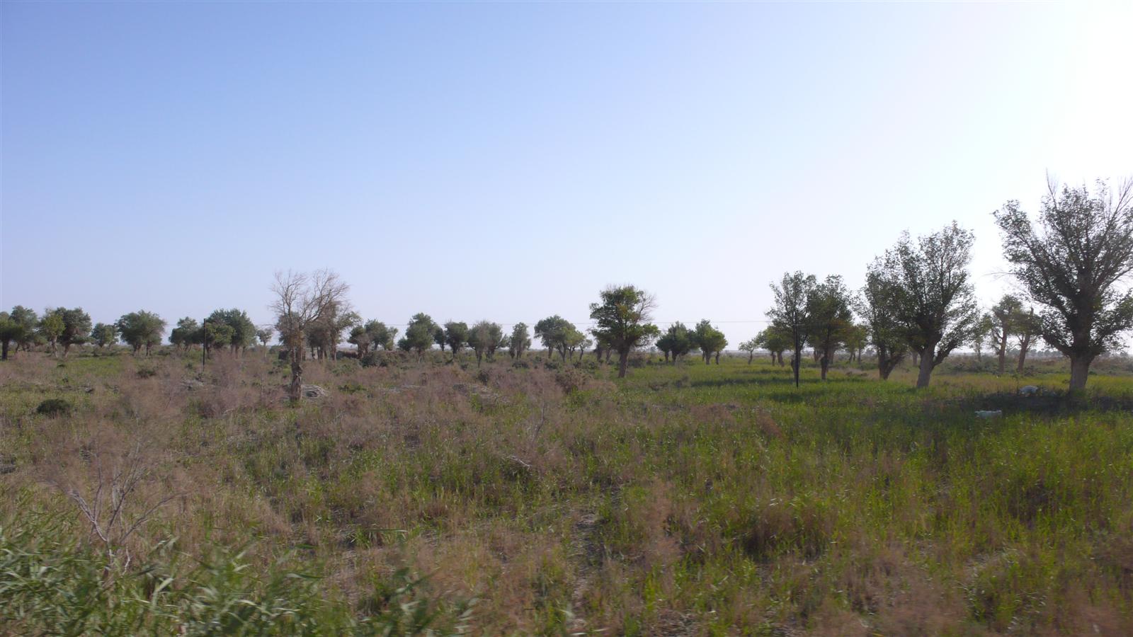 [原创]穿越西藏自驾游路途报导中--已更新翻越新疆界山大坂照片!~