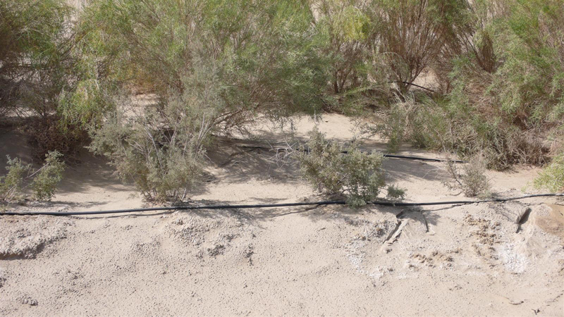 [原创]穿越西藏自驾游路途报导中--已更新翻越新疆界山大坂照片!~