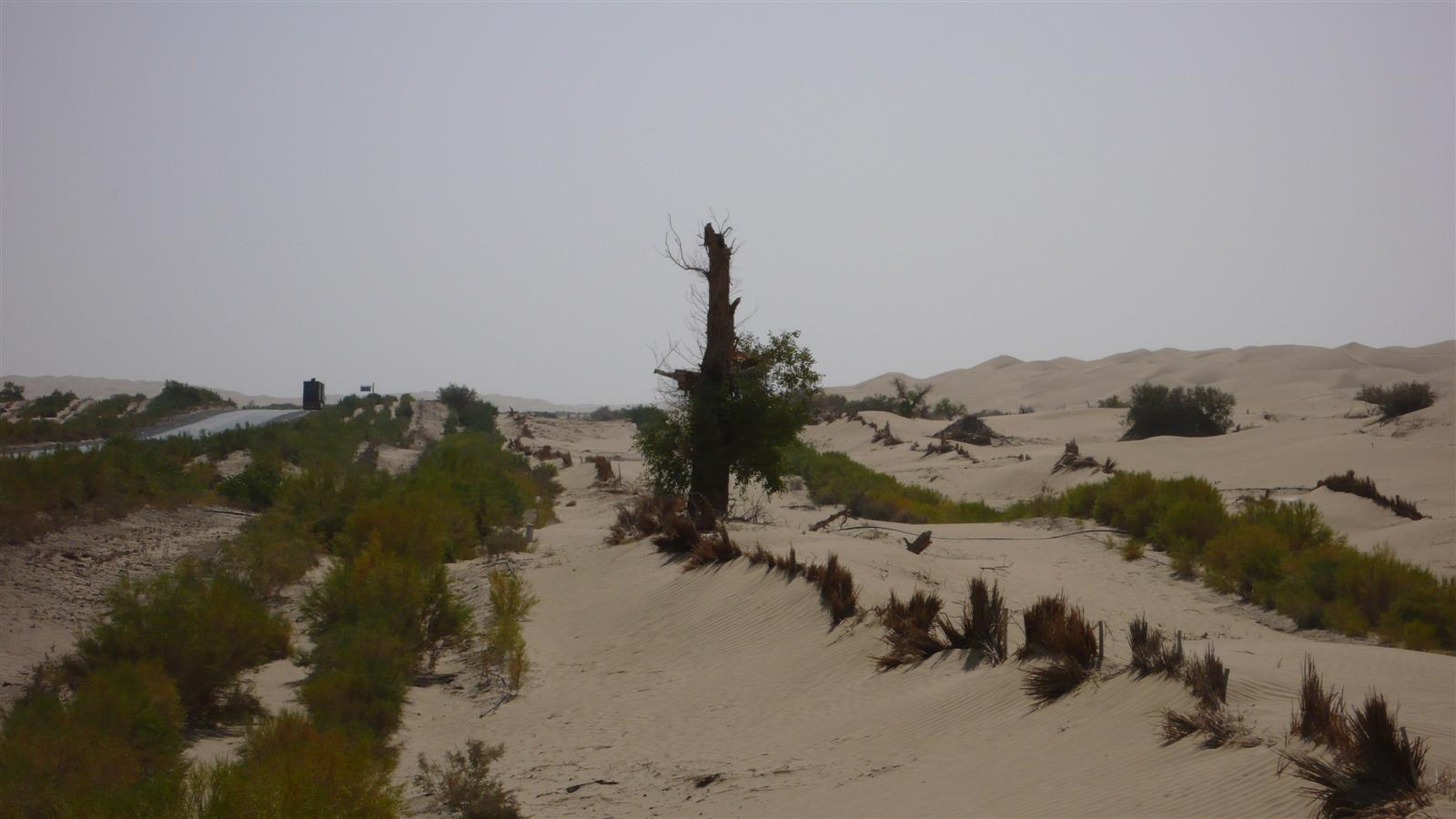 [原创]穿越西藏自驾游路途报导中--已更新翻越新疆界山大坂照片!~