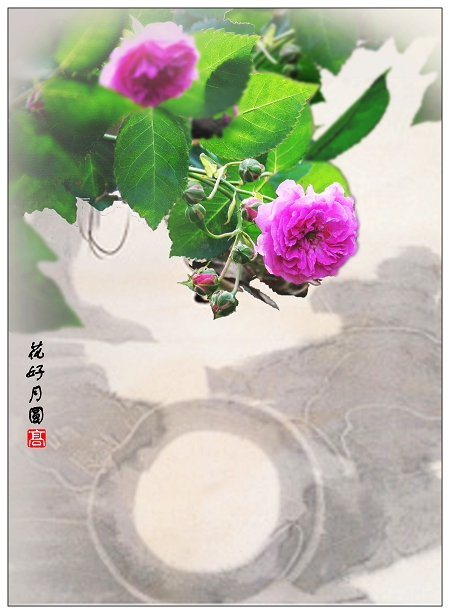 《镜中花水中月》