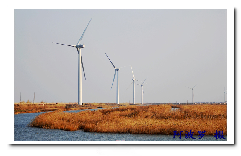 [原创]大风车----启东龙源风电场