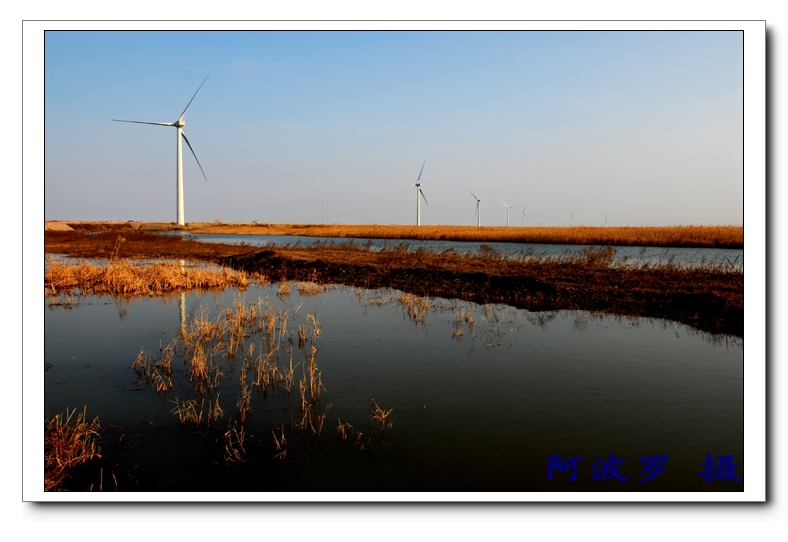 [原创]大风车----启东龙源风电场