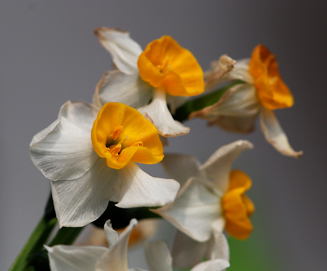 《中国城市灯光艺术特色展》南通一张图片也没有?