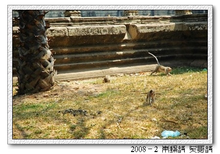 2008春节越南柬埔寨自助背包行（第三页更新）