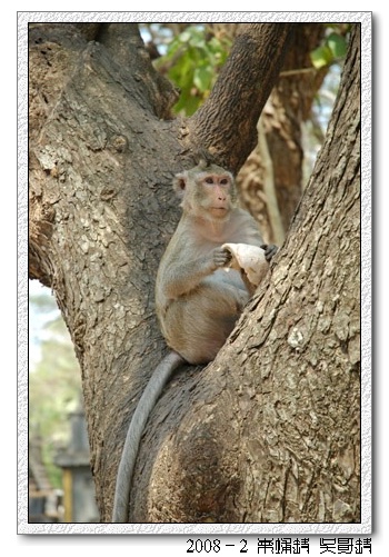 2008春节越南柬埔寨自助背包行（第三页更新）