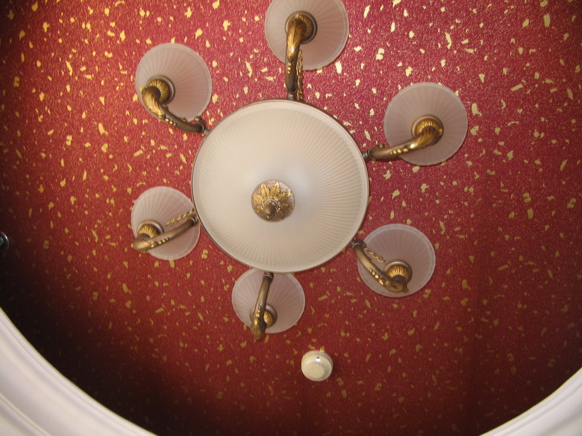 [推荐]百灵鸟转让信息