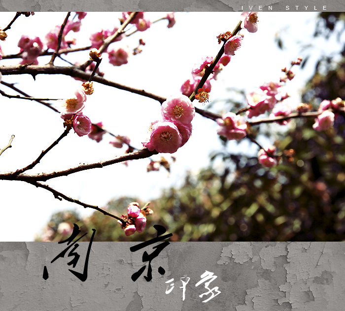 [原创][Iven Style]南京印象