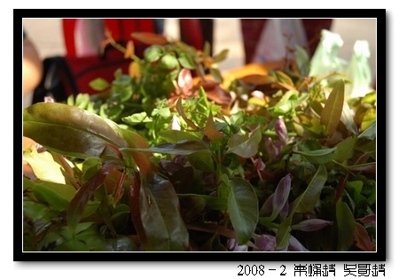 2008春节越南柬埔寨自助背包行（第四页更新图片，长）