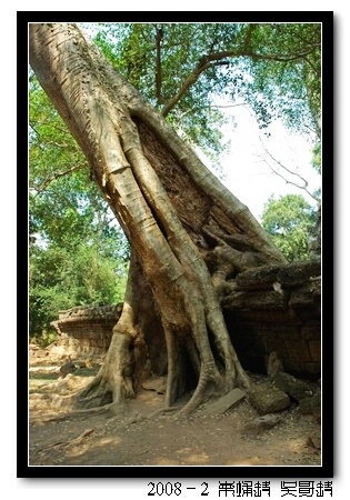 2008春节越南柬埔寨自助背包行（第四页更新图片，长）