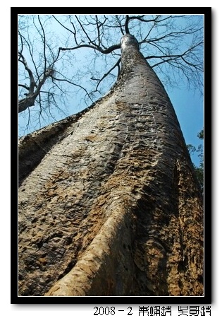 2008春节越南柬埔寨自助背包行（第四页更新图片，长）