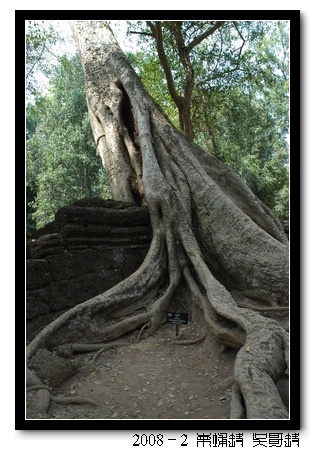 2008春节越南柬埔寨自助背包行（第四页更新图片，长）