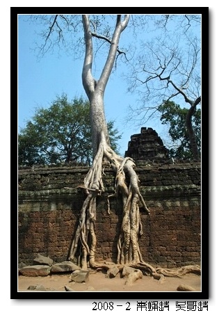 2008春节越南柬埔寨自助背包行（第四页更新图片，长）