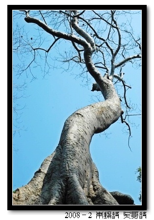 2008春节越南柬埔寨自助背包行（第四页更新图片，长）