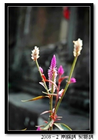 2008春节越南柬埔寨自助背包行（第四页更新图片，长）