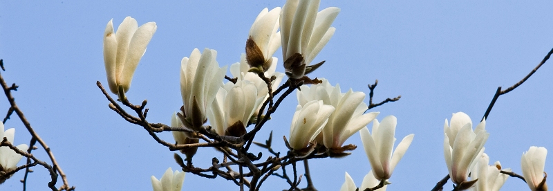 [原创]春意盎然