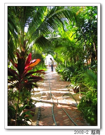 2008春节越南柬埔寨自助背包行（104楼更新）