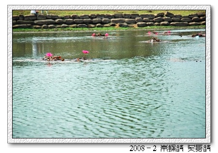 2008春节越南柬埔寨自助背包行（第六页更新，多图）