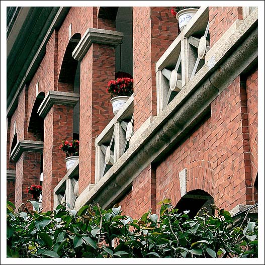 【你好，鼓浪屿！】