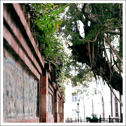 【你好，鼓浪屿！】