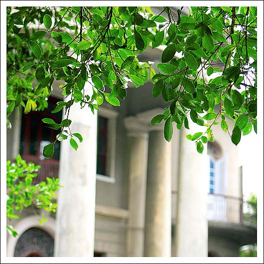 【你好，鼓浪屿！】