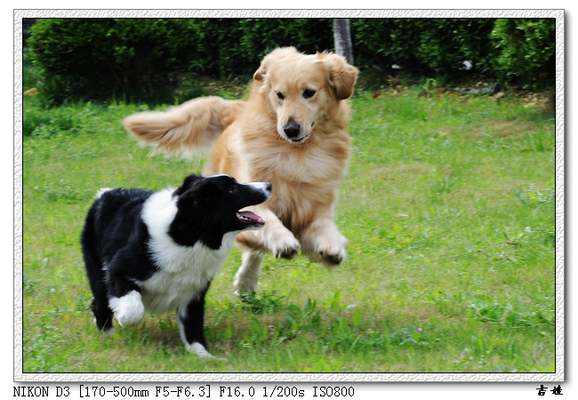 [分享]烧了只D3,发二张试片