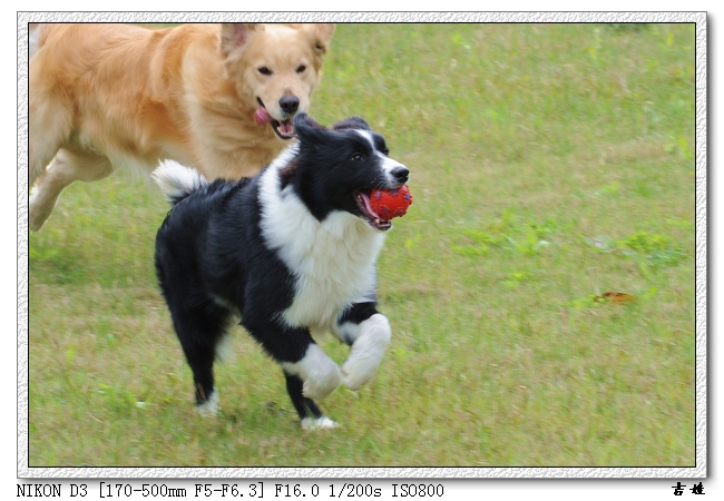 [分享]烧了只D3,发二张试片