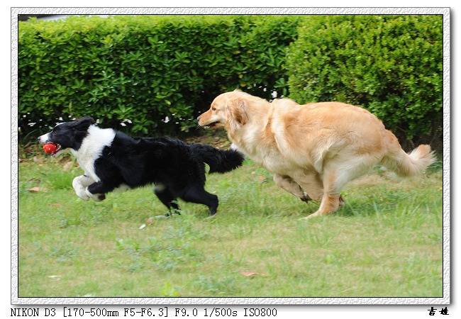 [分享]烧了只D3,发二张试片