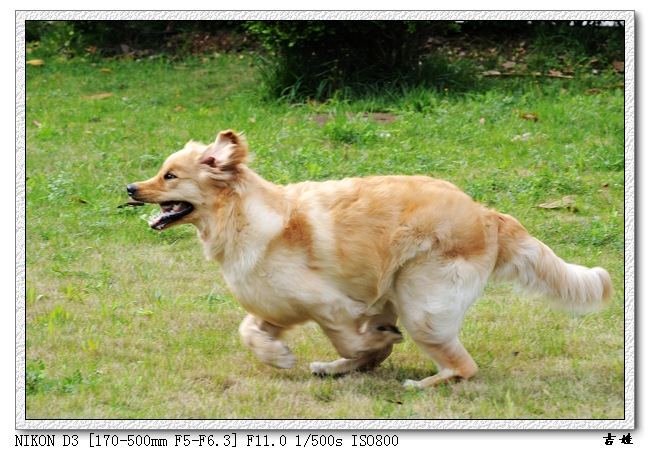 [分享]烧了只D3,发二张试片