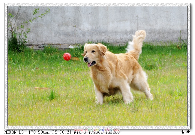 [分享]烧了只D3,发二张试片