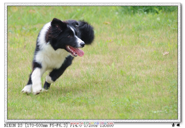 [分享]烧了只D3,发二张试片